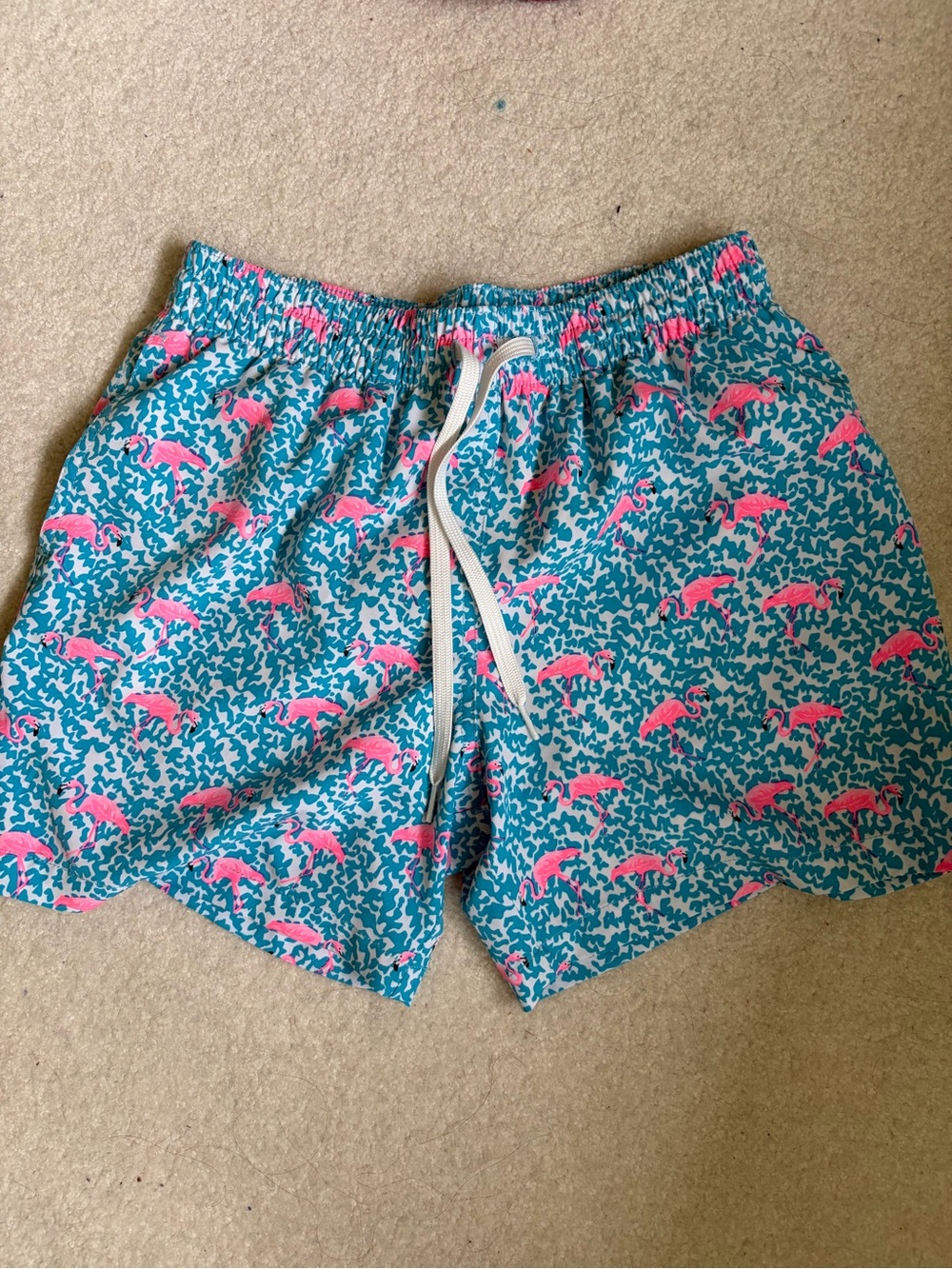 chubbies Swim Trunks - Picture 6 of 7